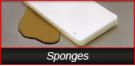 Sponges